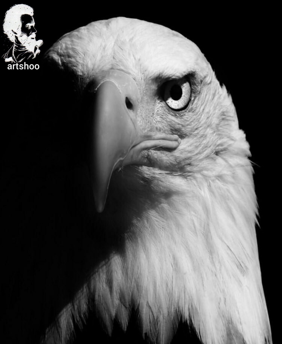 سیاه قلم مدل مداد سفید